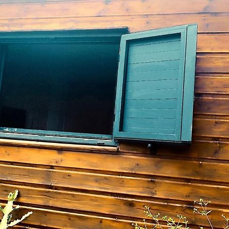 Tiny House Les Cactus - Bungalow St Gilles Les Hauts Saint-Paul Eksteriør billede